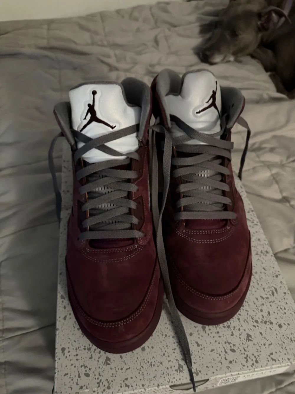 Air Jordan Burgundy 5s